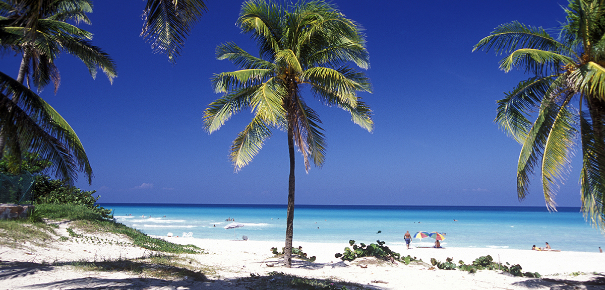 P2678286db9484ea7af3dc71a0374b19a (1).jpg